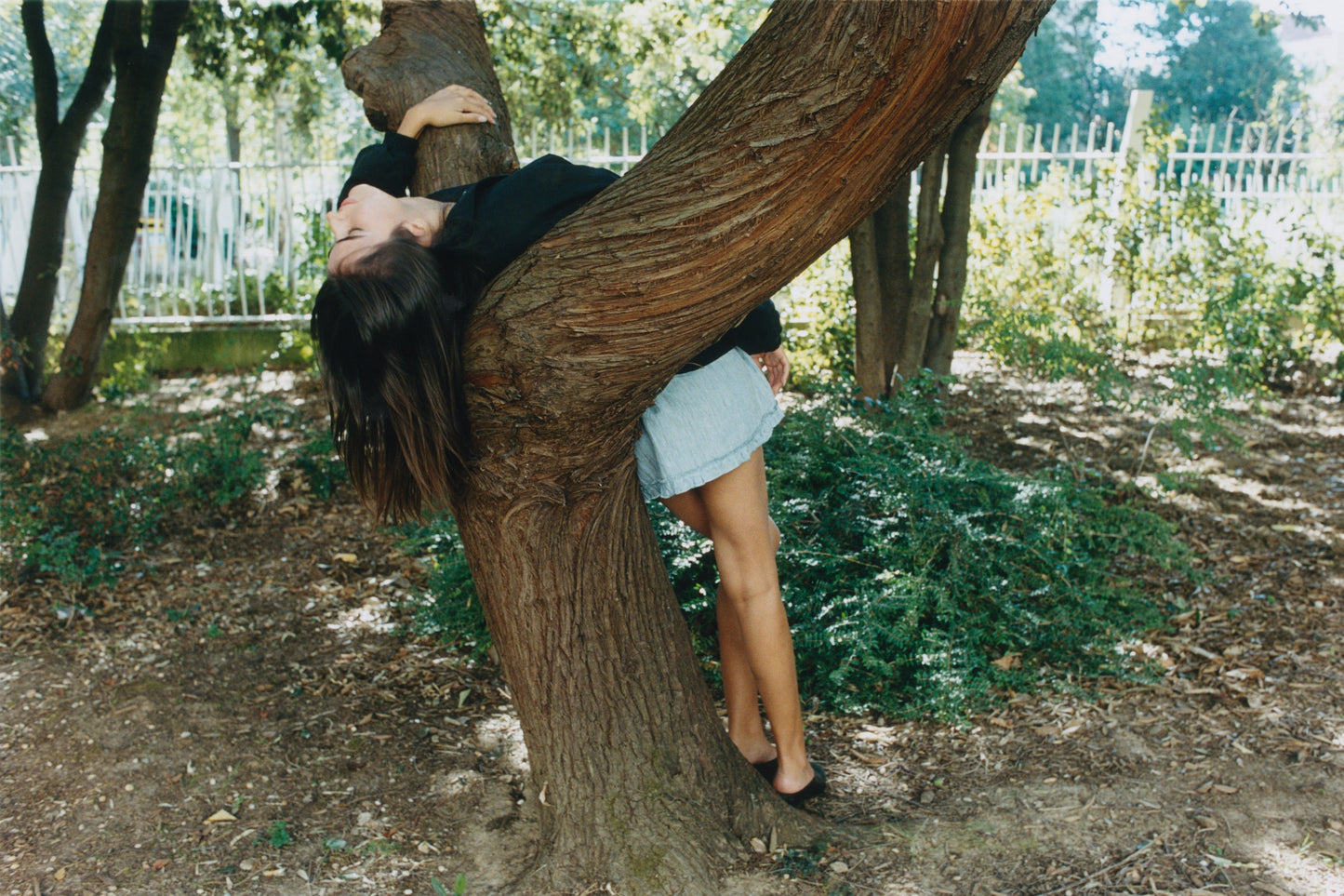 A person in a skirt and dark top leans back on a tree branch in a wooded area, arms wrapped around the trunk. Sunlight filters through the trees, illuminating a white fence and their Deiji Studios Shirring Jacket - Slate in the background.