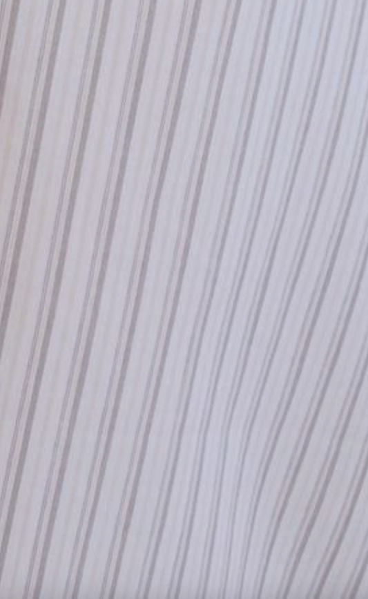 Double Collar Shirt - Gull Stripe