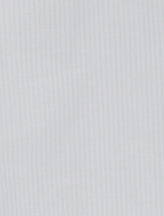 Close-up of the Cloud Stripe fabric by Deiji Studios: a fine pale grey-blue stripe woven on white, shown flat.